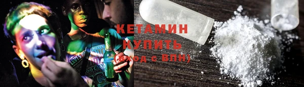 шишки Белокуриха