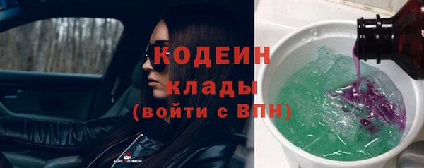 шишки Белокуриха