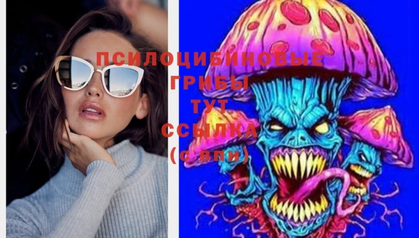 шишки Белокуриха