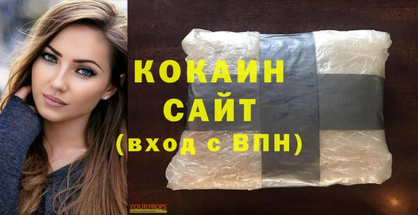 шишки Белокуриха