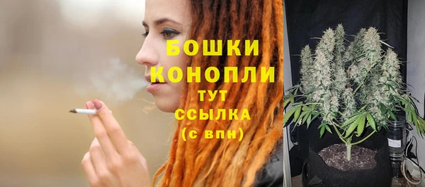 шишки Белокуриха